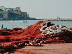 Renforcement stratégique de la coopération franco-marocaine :