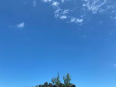 L’ARCHIPEL DES CHAGOS par Jean-Yves de Cara