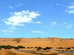 À Laâyoune, le 15 avril 2026, l’ambassadeur de France au Maroc, Christophe Lecourtier, a inauguré le nouveau site du lycée français international Paul Pascon par Jean-François Poli