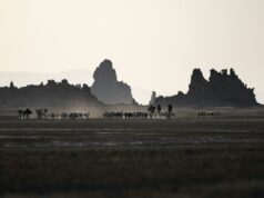 Le partenariat du Maroc avec Djibouti : une illustration de la vision du développement partagé mise en œuvre par le Roi Mohammed VI — par Jean-François Poli